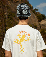 Dizzy Frog Heavy Du-Tee